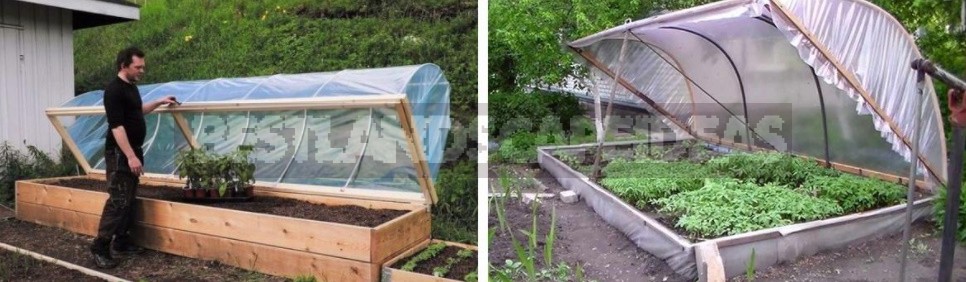 Greenhouse Options: Ready-Made And Hand-Made