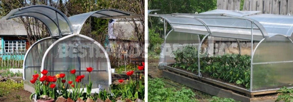 Greenhouse Options: Ready-Made And Hand-Made