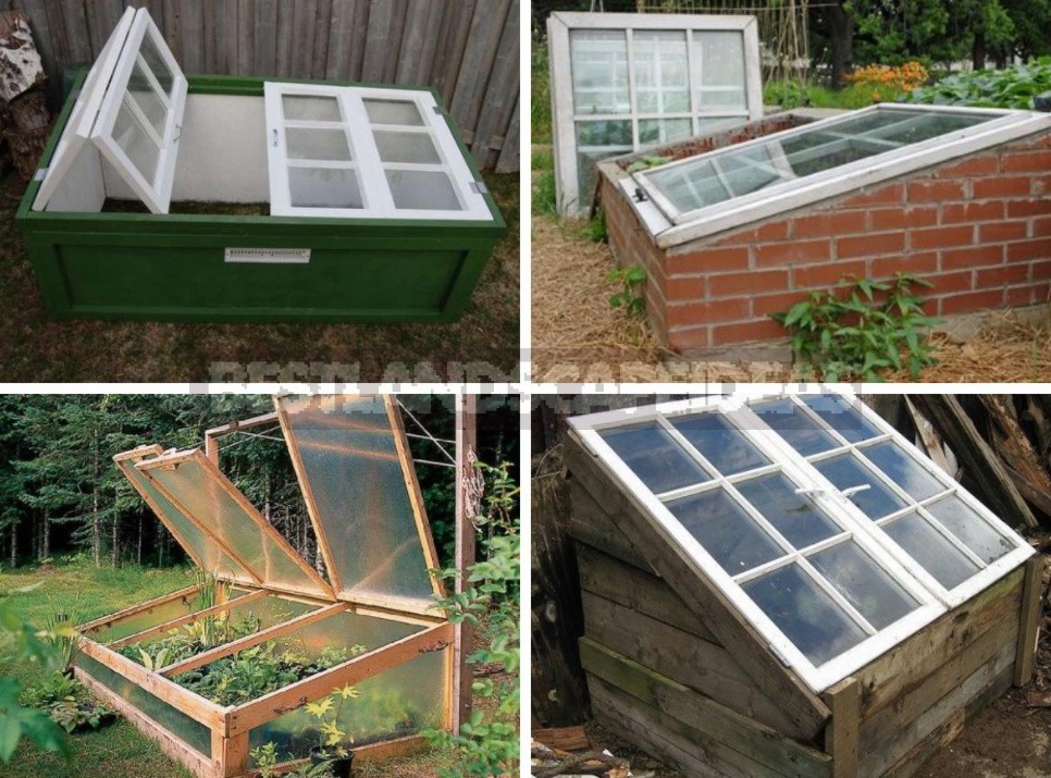 Greenhouse Options: Ready-Made And Hand-Made