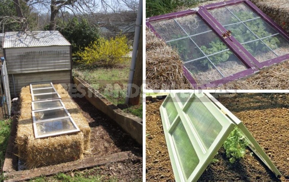 Greenhouse Options: Ready-Made And Hand-Made