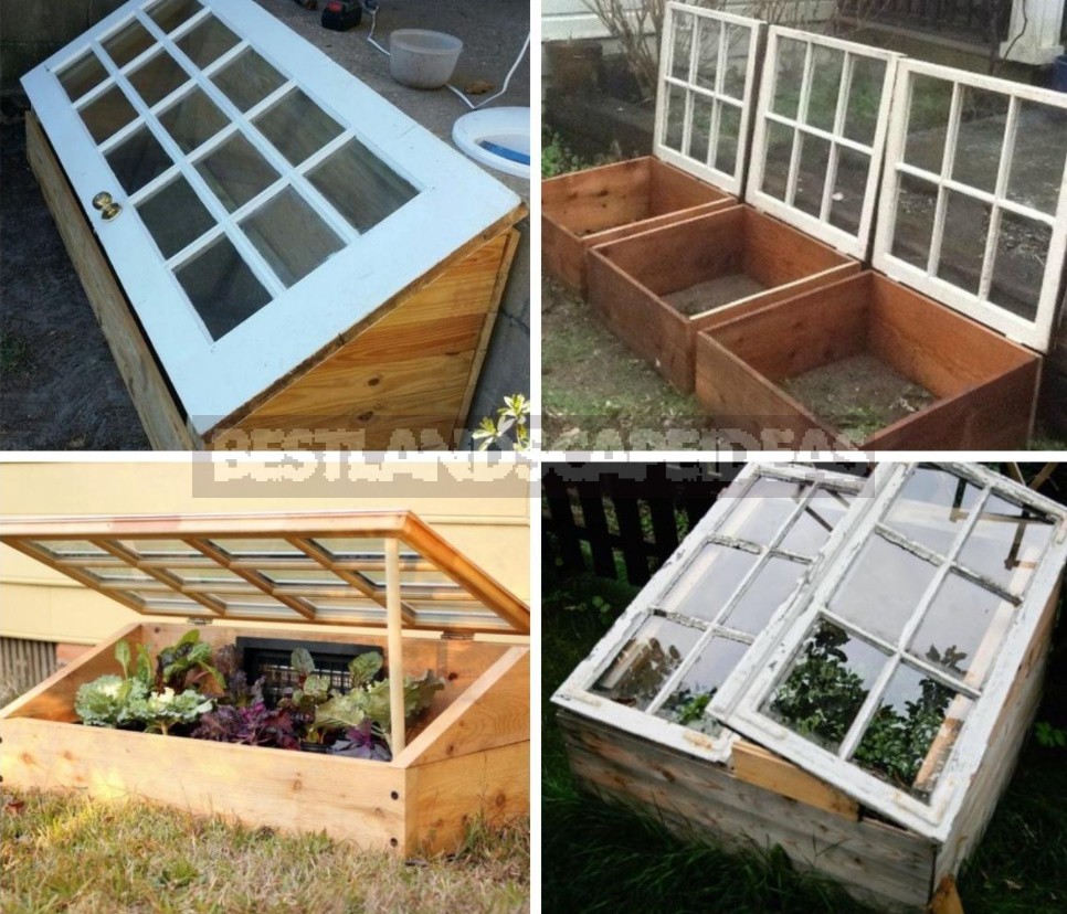 Greenhouse Options: Ready-Made And Hand-Made