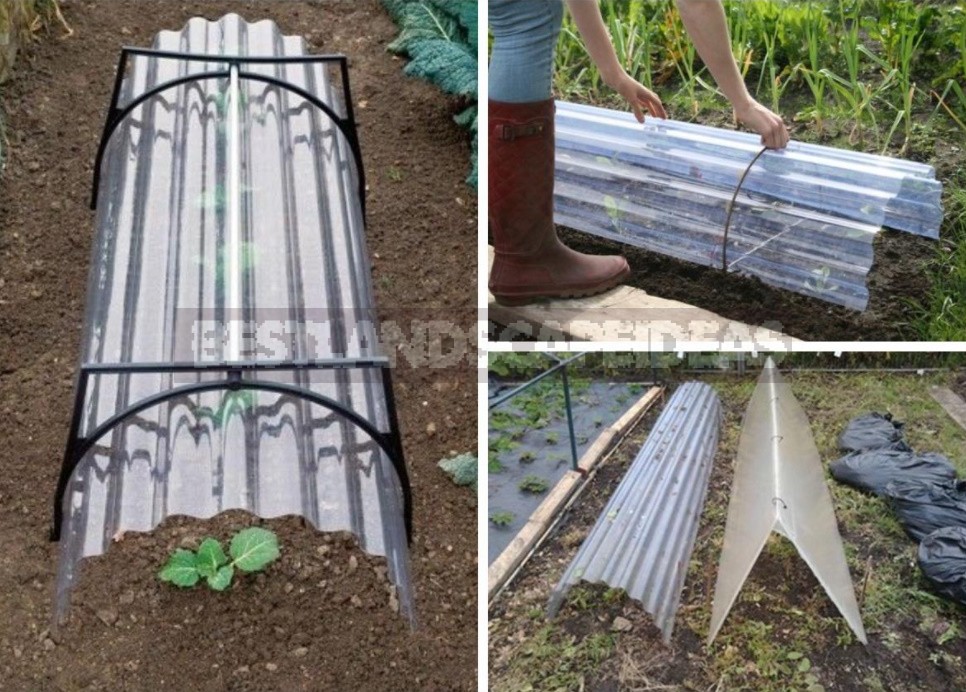Greenhouse Options: Ready-Made And Hand-Made