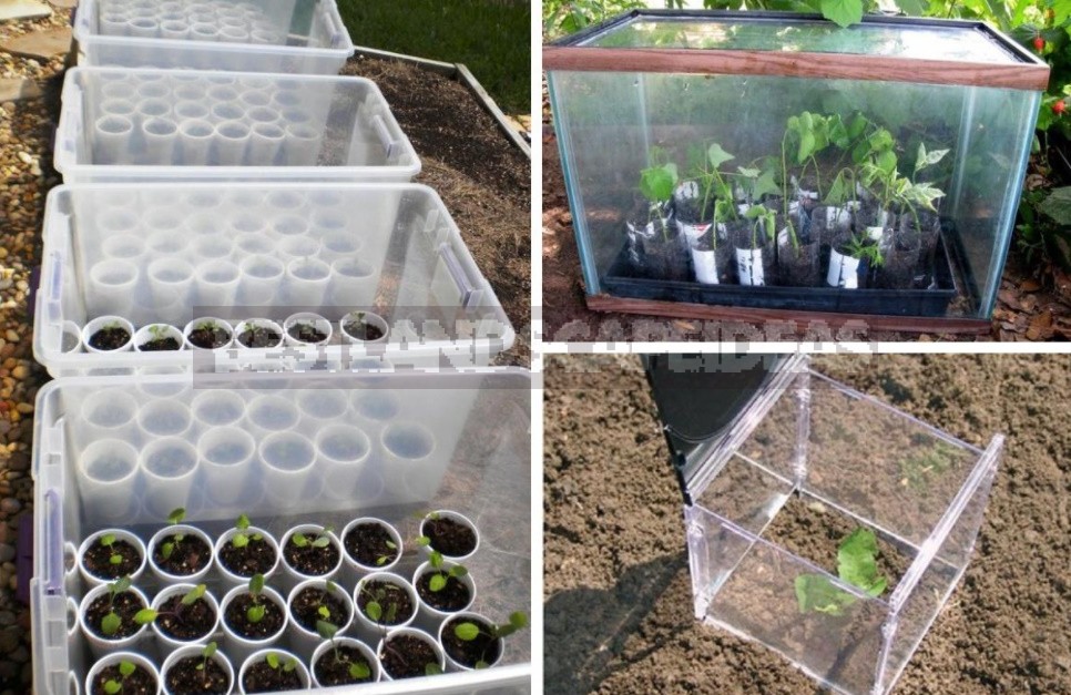 Greenhouse Options: Ready-Made And Hand-Made