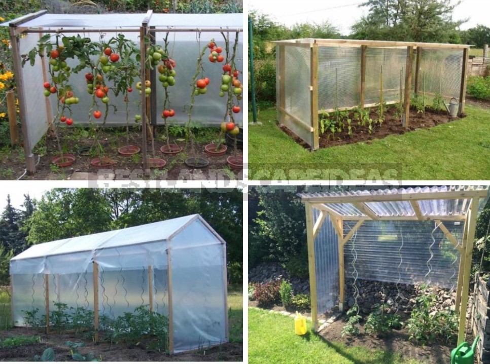 Greenhouse Options: Ready-Made And Hand-Made