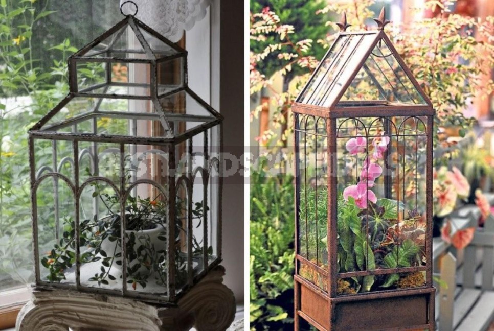 Greenhouse Options: Ready-Made And Hand-Made