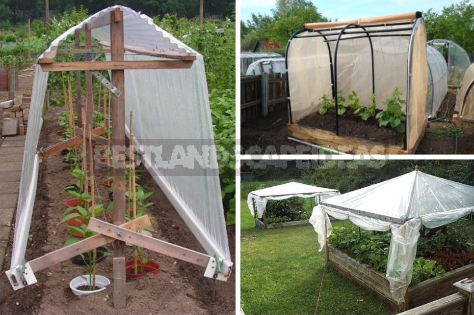 Greenhouse Options: Ready-Made And Hand-Made