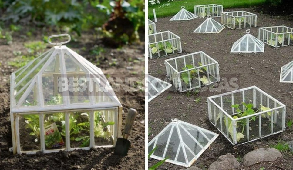 Greenhouse Options: Ready-Made And Hand-Made