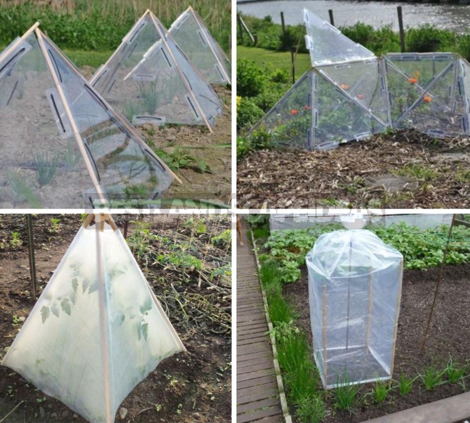 Greenhouse Options: Ready-Made And Hand-Made