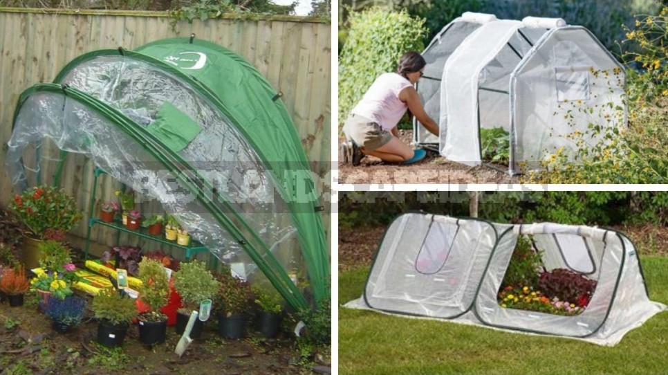 Greenhouse Options: Ready-Made And Hand-Made