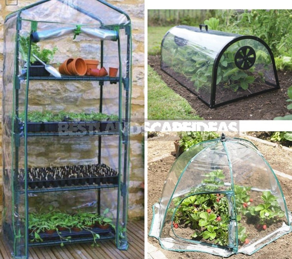 Greenhouse Options: Ready-Made And Hand-Made