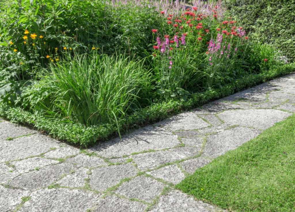 Garden Paths: Options For Convenient Routes