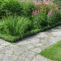 Garden Paths: Options For Convenient Routes