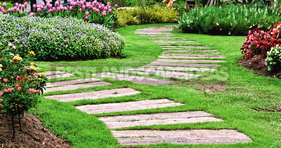 Garden Paths: Options For Convenient Routes