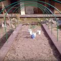 We Make a High Warm Bed With a Greenhouse