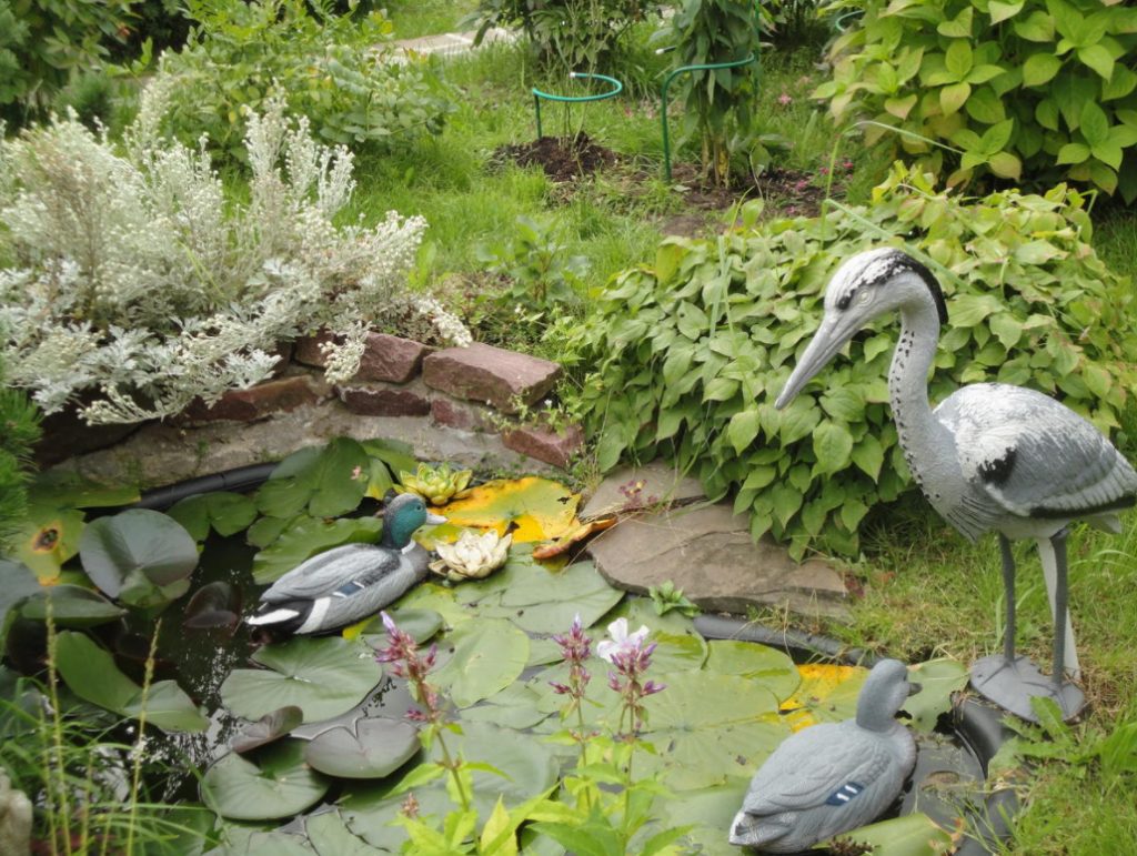 What Dangers Can Await Us In The Garden (Part 1)