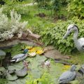 What Dangers Can Await Us In The Garden (Part 2)