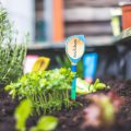 Beauty In Small Things: Ideas Of Original Garden Markers With Your Own Hands (Part 1)