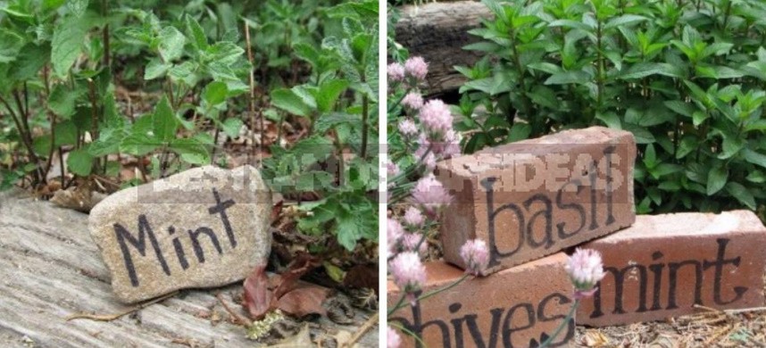 Beauty In Small Things: Ideas Of Original Garden Markers With Your Own Hands (Part 1)