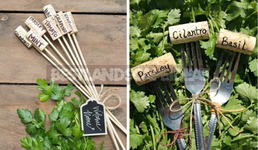 Beauty In Small Things: Ideas Of Original Garden Markers With Your Own Hands (Part 2)