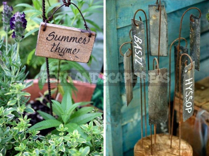 Beauty In Small Things: Ideas Of Original Garden Markers With Your Own Hands (Part 2)