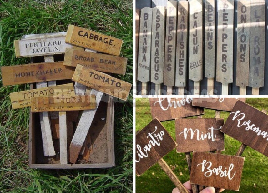 Beauty In Small Things: Ideas Of Original Garden Markers With Your Own Hands (Part 2)