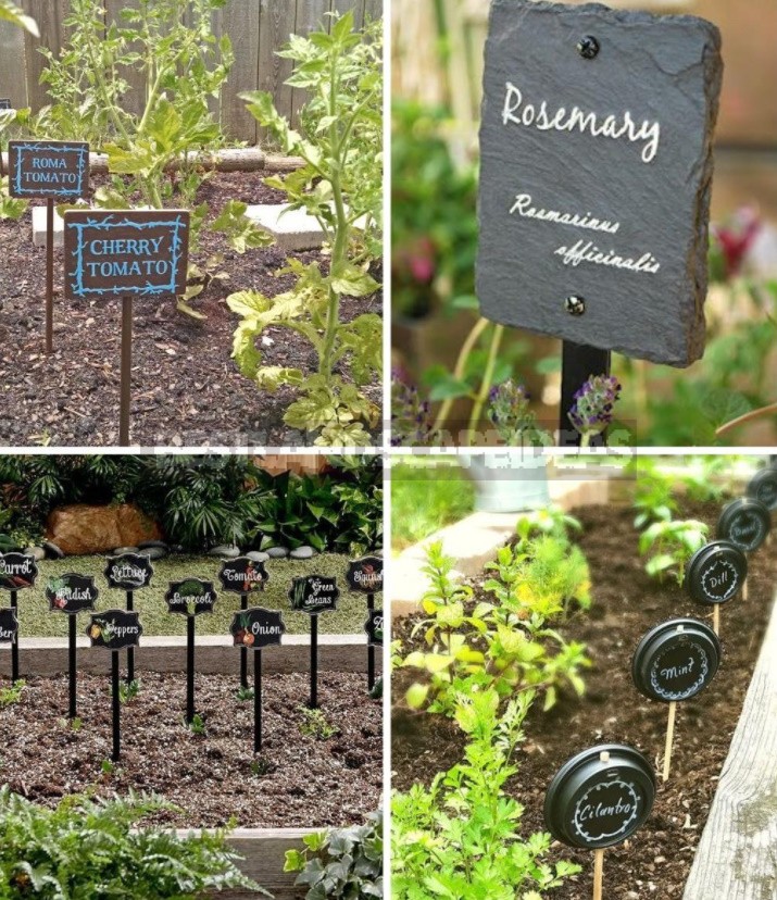 Beauty In Small Things: Ideas Of Original Garden Markers With Your Own Hands (Part 2)