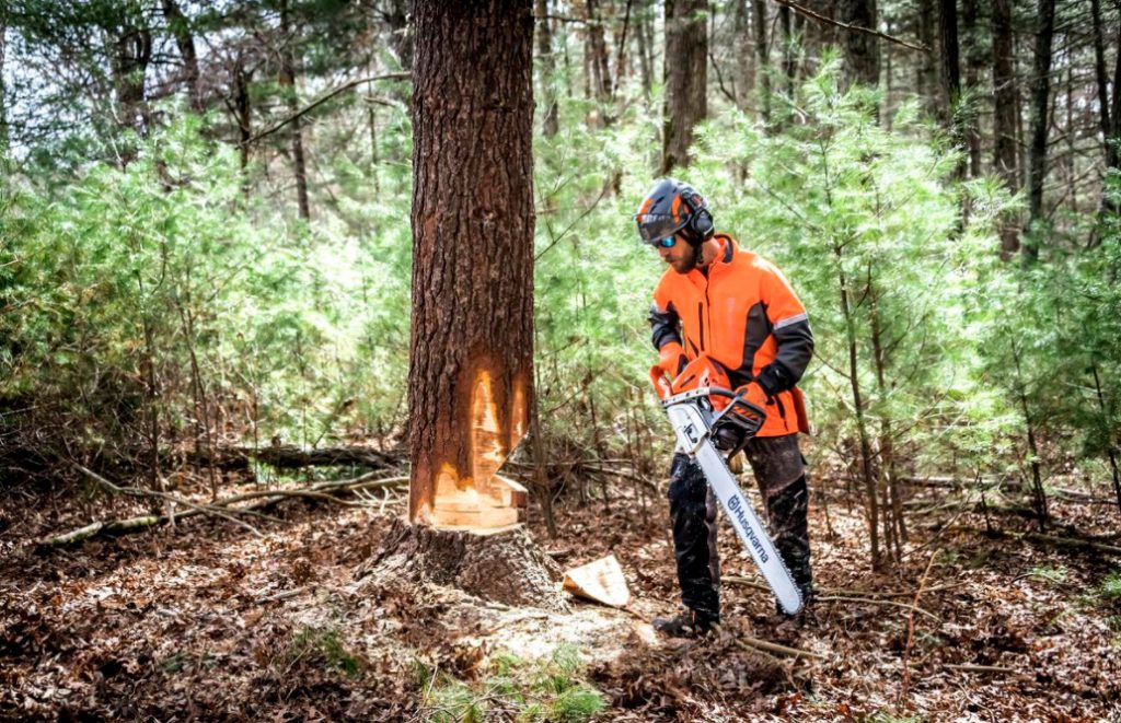 How To Choose Chains And Saw Tires For Gasoline And Battery Saws