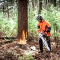 How To Choose Chains And Saw Tires For Gasoline And Battery Saws