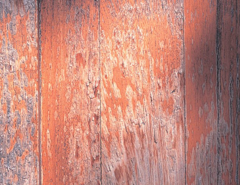 How To Clean Wood From Old Paint And Varnish (Part 1) Best Landscape