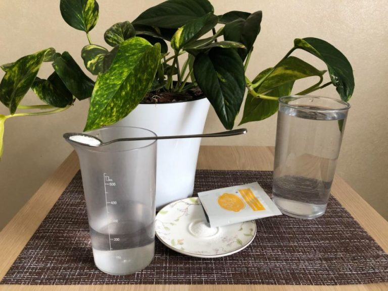 Secrets Of Using Succinic Acid For Plant Nutrition Best Landscape Ideas