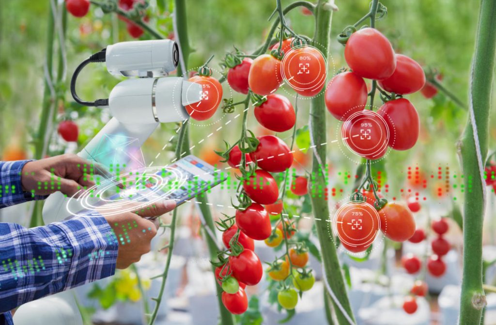 The Future Of Agriculture: 7 Development Trends (Part 2)