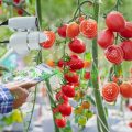 The Future Of Agriculture: 7 Development Trends (Part 1)