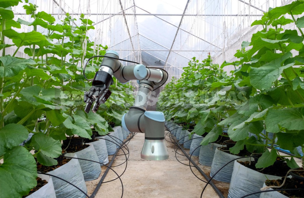 The Future Of Agriculture: 7 Development Trends (Part 1)