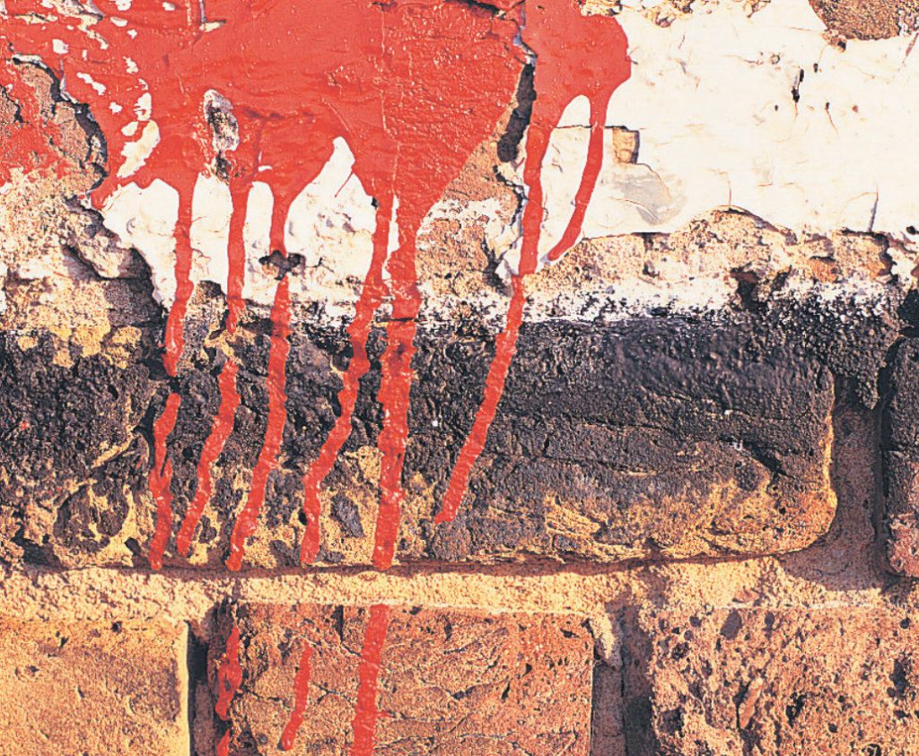 Cleaning Of Brickwork From Efflorescence, Mold And Other Contaminants