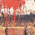 Cleaning Of Brickwork From Efflorescence, Mold And Other Contaminants