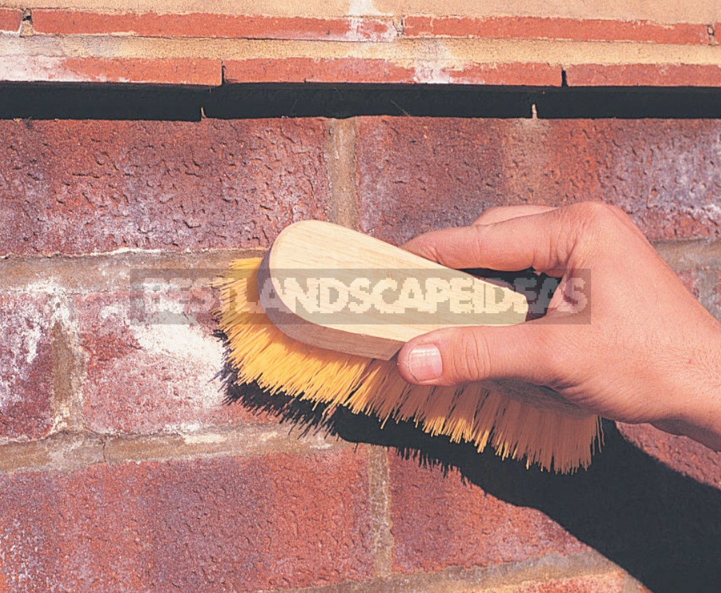 Cleaning Of Brickwork From Efflorescence, Mold And Other Contaminants