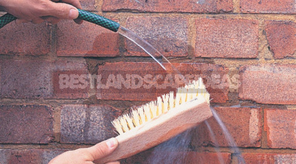Cleaning Of Brickwork From Efflorescence, Mold And Other Contaminants