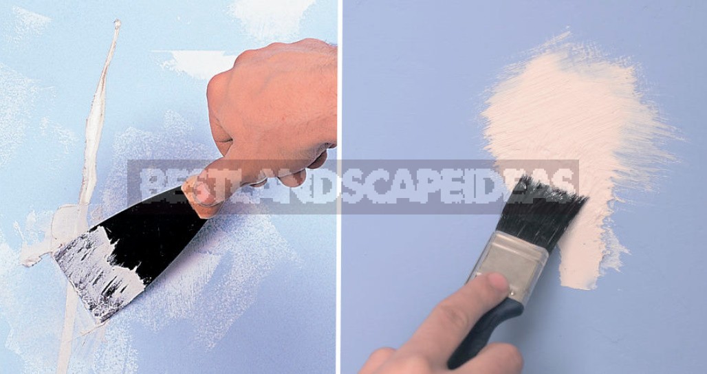 How To Prepare Plaster For Applying a Decorative Coating