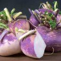 Rutabaga: The Most Interesting Varieties