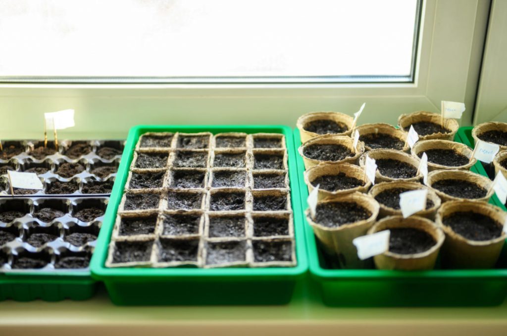 Seedlings Outside The Window: a Device For Hardening