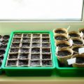 Seedlings Outside The Window: a Device For Hardening