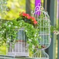 Spectacular Hanging Planters Made Of Improvised Materials