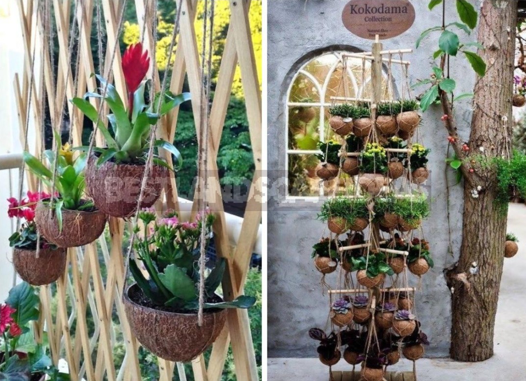 Spectacular Hanging Planters Made Of Improvised Materials