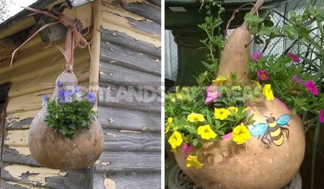 Spectacular Hanging Planters Made Of Improvised Materials