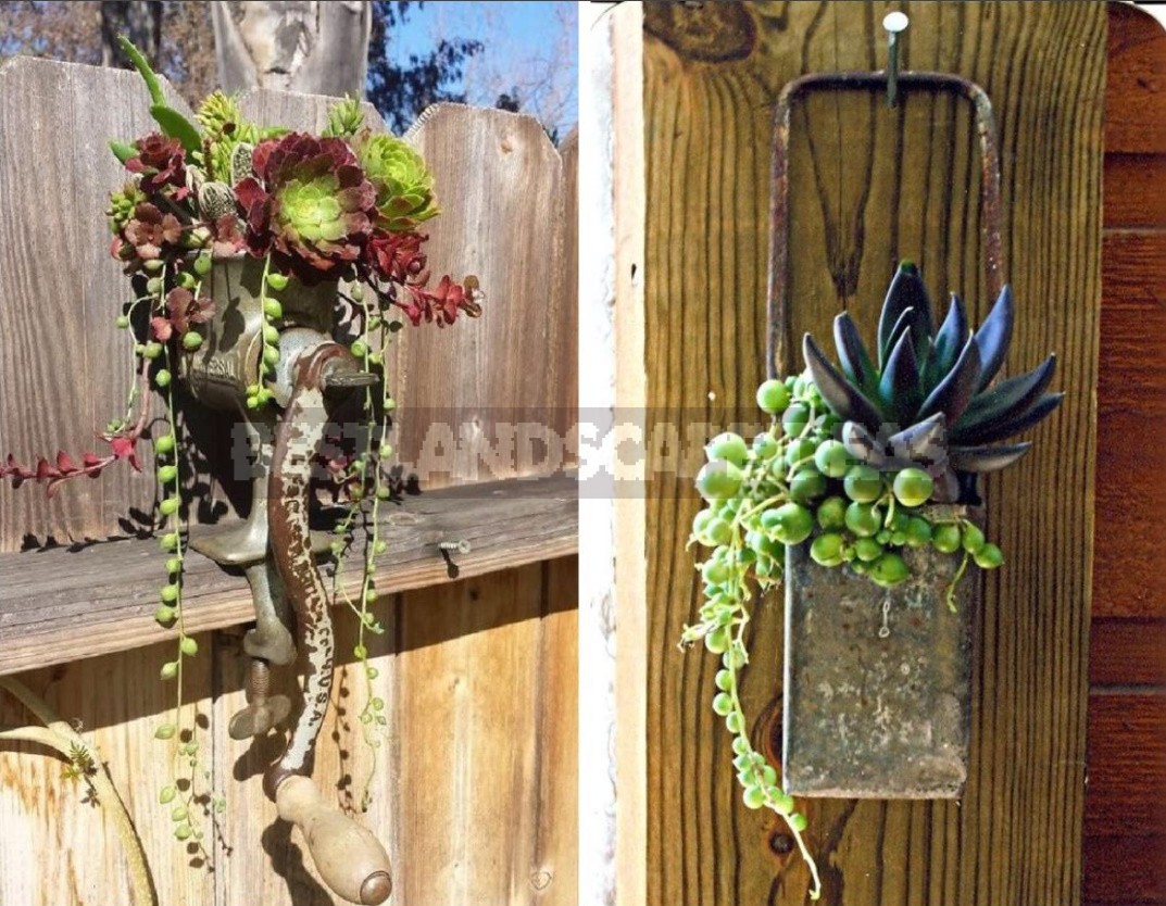 Spectacular Hanging Planters Made Of Improvised Materials