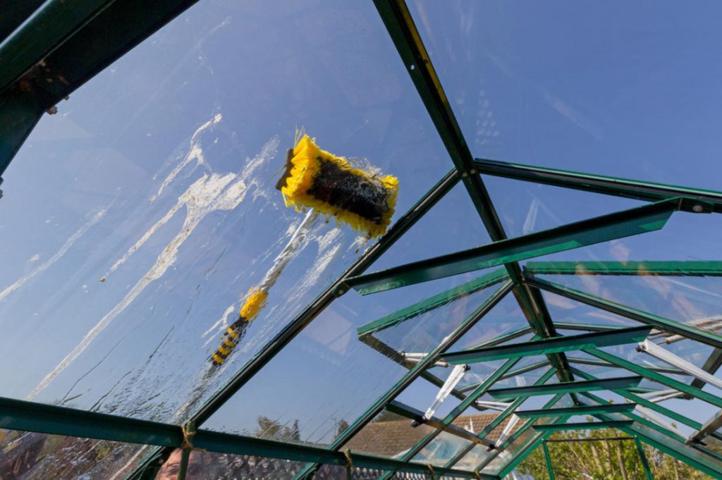 Spring Preparation Of Greenhouses And The First Crops In Them