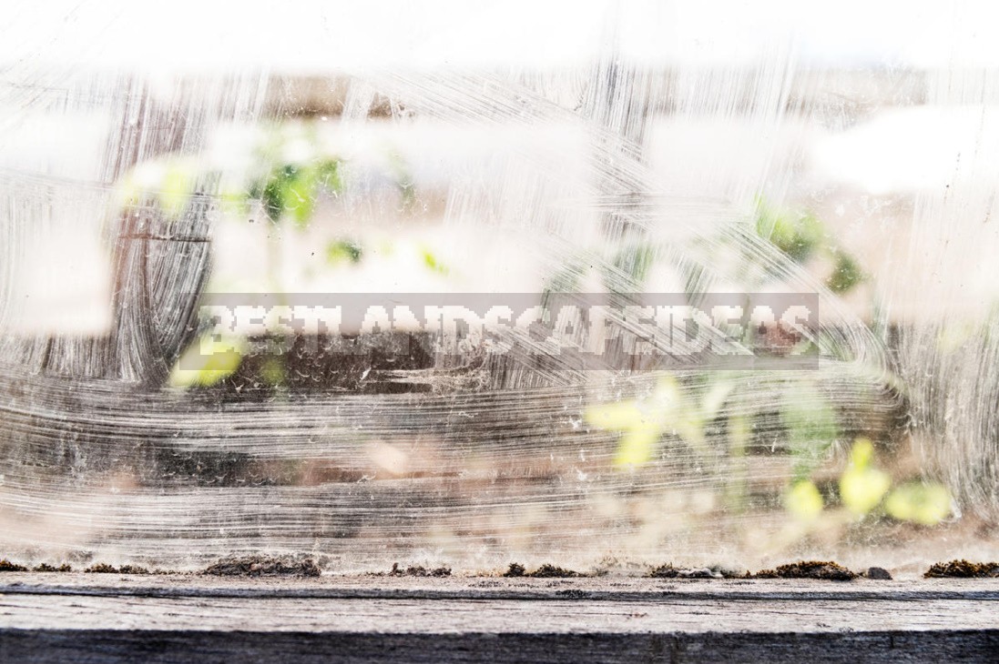 Spring Preparation Of Greenhouses And The First Crops In Them