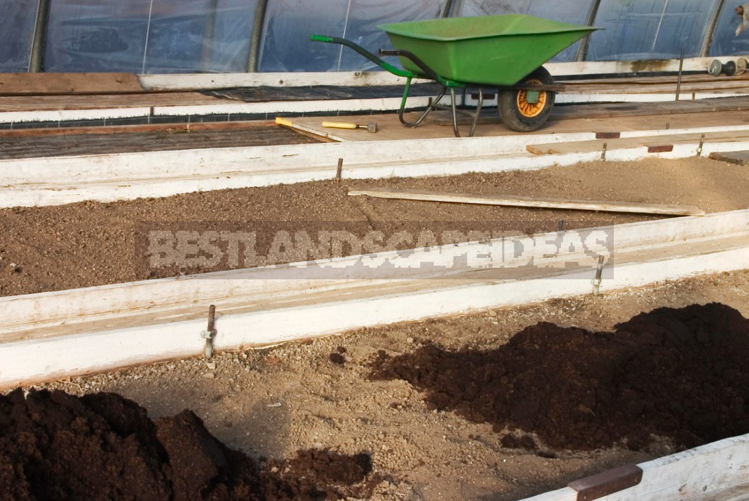 Spring Preparation Of Greenhouses And The First Crops In Them