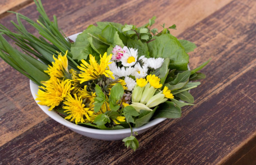 Weeds For a Snack: Unexpected Recipes For Healthy Dishes