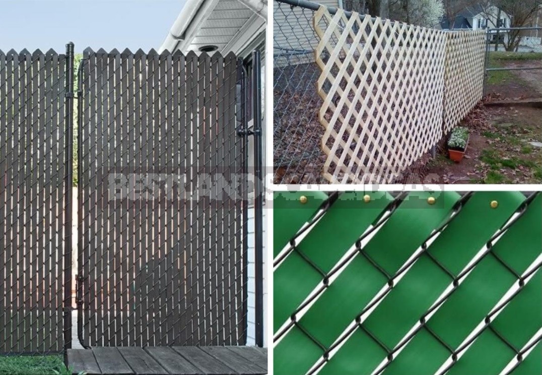 How To Refine a Mesh Fence: Practical, Cute And Bold Ideas